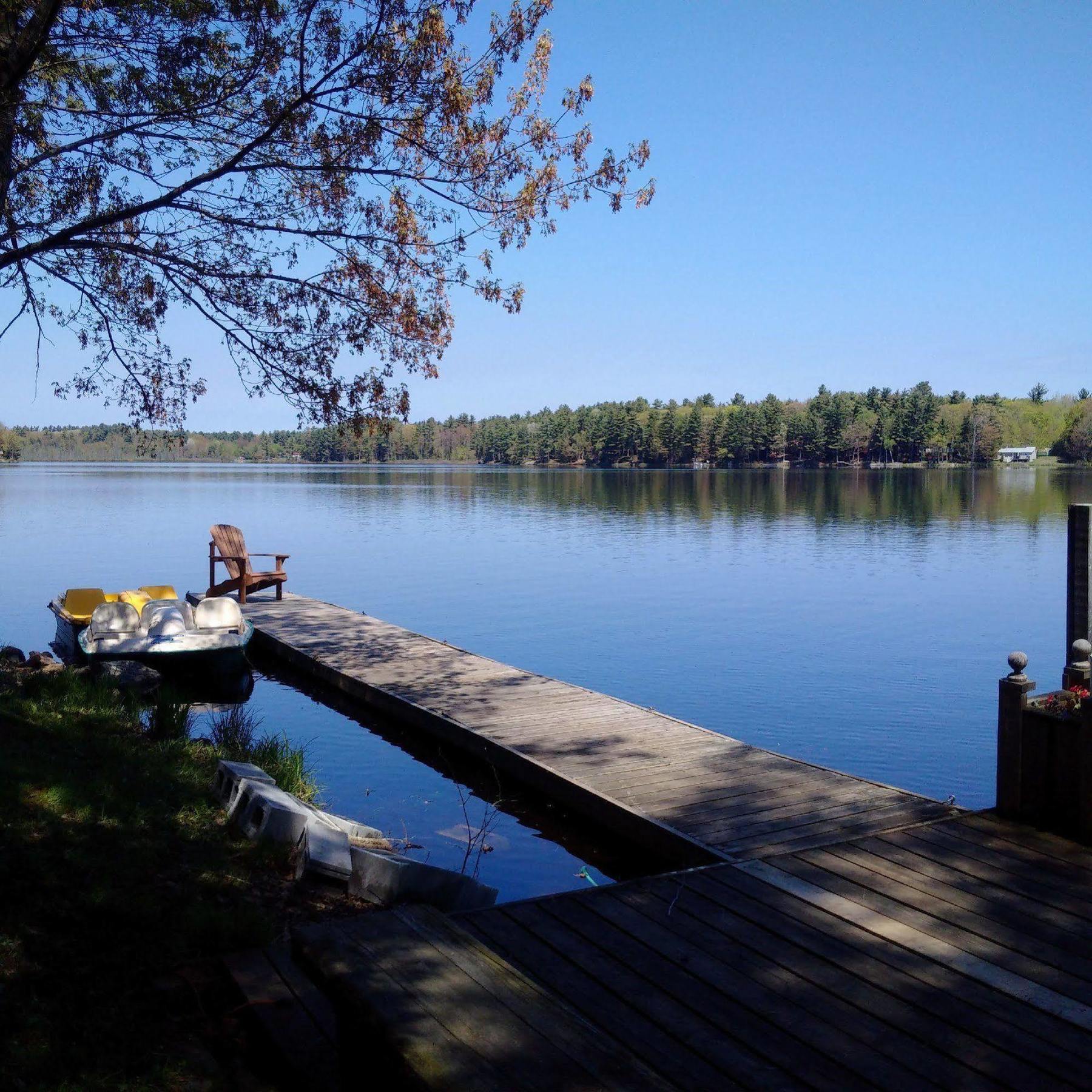 Black Lake Cabins Torrance Exterior photo