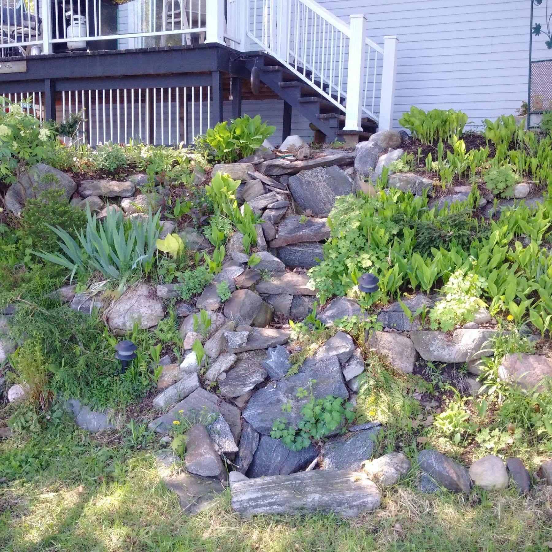 Black Lake Cabins Torrance Exterior photo